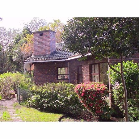 Forest Nest Cottage, Tsitsikamma Stormsrivier Zewnętrze zdjęcie