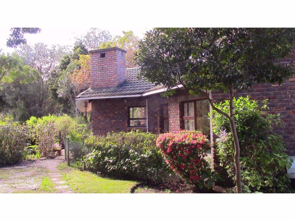 Forest Nest Cottage, Tsitsikamma Stormsrivier Zewnętrze zdjęcie