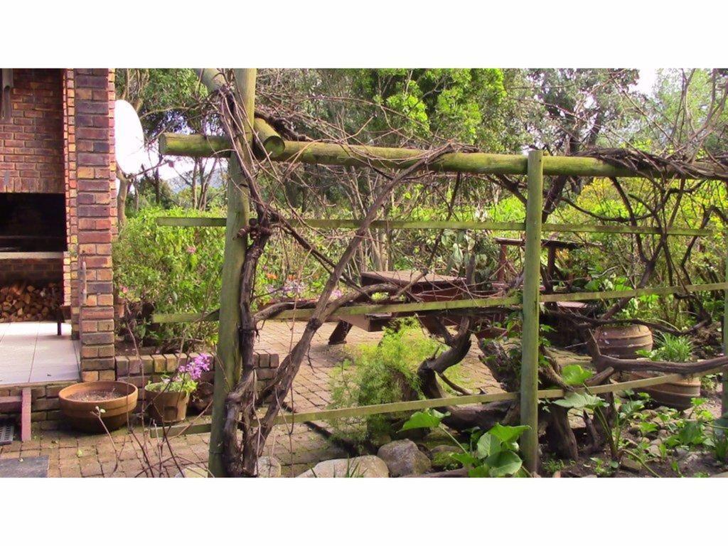 Forest Nest Cottage, Tsitsikamma Stormsrivier Zewnętrze zdjęcie