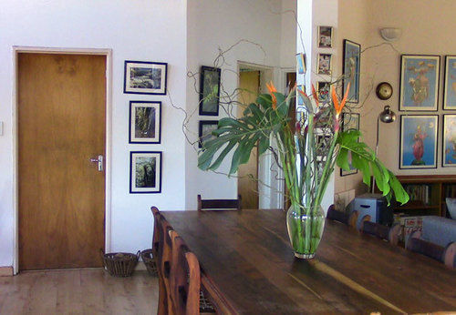 Forest Nest Cottage, Tsitsikamma Stormsrivier Zewnętrze zdjęcie